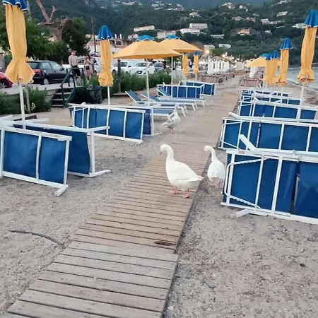 Aenaon Corfu Luxury #03 - Aris Appartement Ýpsos